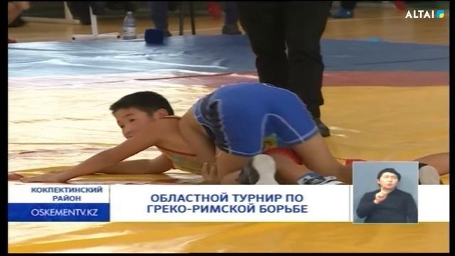 Областной турнир по греко римской борьбе