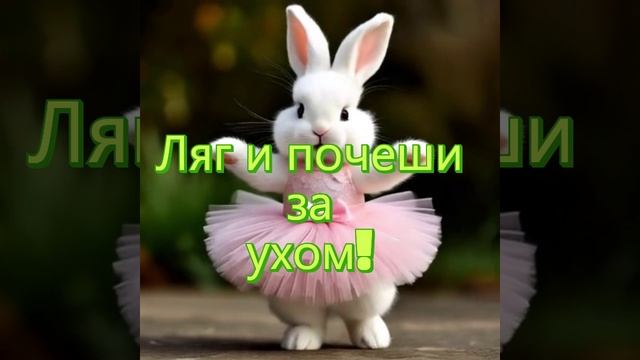 Не падай духом!