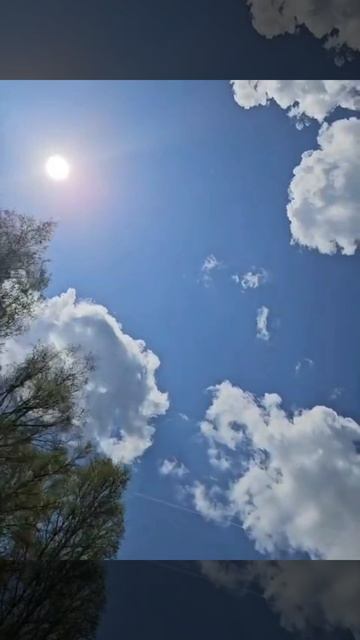 Я вижу...
