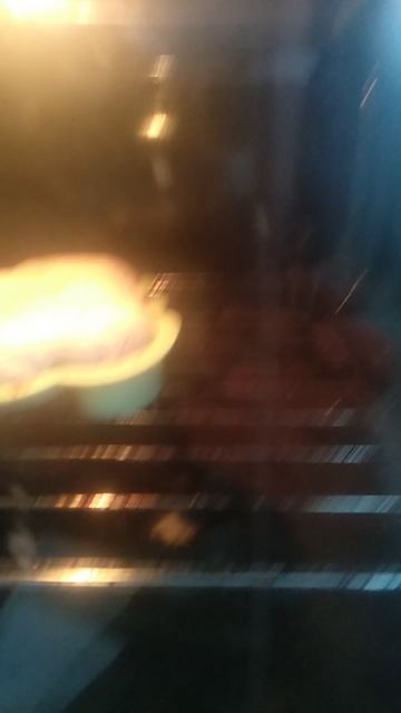 VID_20250314_162910.mp4