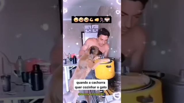 Четвероногие помощники