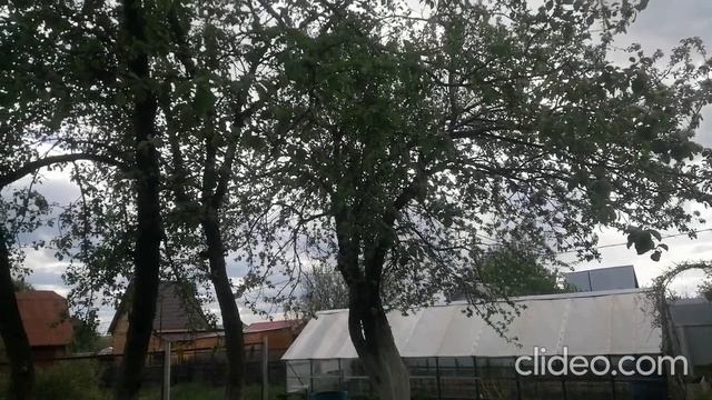 подготовка к дню рождения