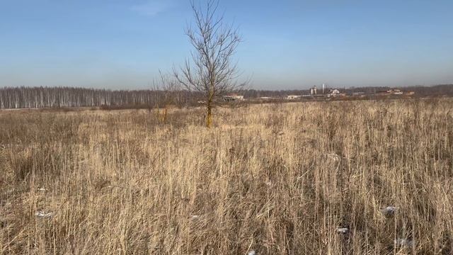 вблизи г. Воскресенска
