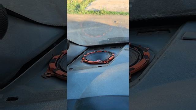 Versus - By DL Audio/ Gryphon lite v.3 vs Barracuda