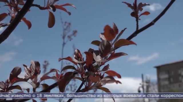 21.05.2025 Аллею журналистов в Южно-Сахалинске дополнят выставкой о фронтовиках