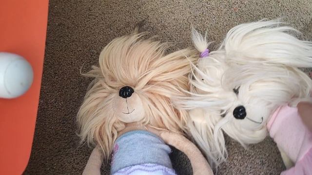 Собачки Lucky Doggy на улице