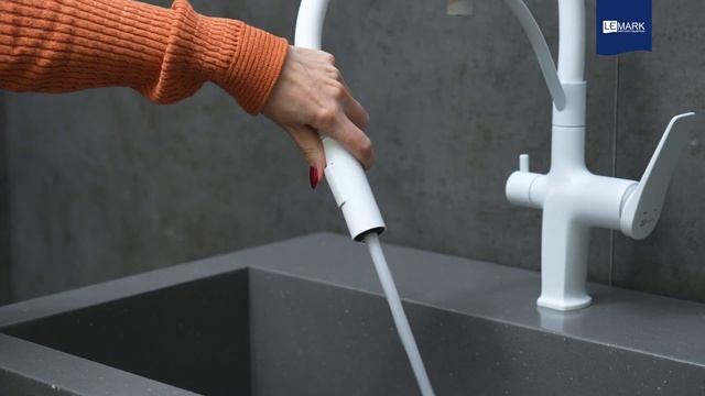 Смеситель Lemark Bronx LM3761MW для кухни с подключением к филь?