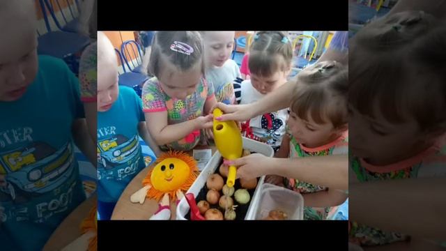 10 гр