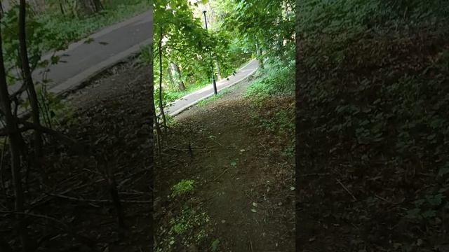 1000013199.mp4