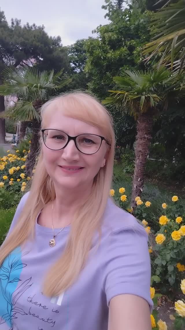 Розы в Геленджике. Увидела красивую клумбу с желтыми розами