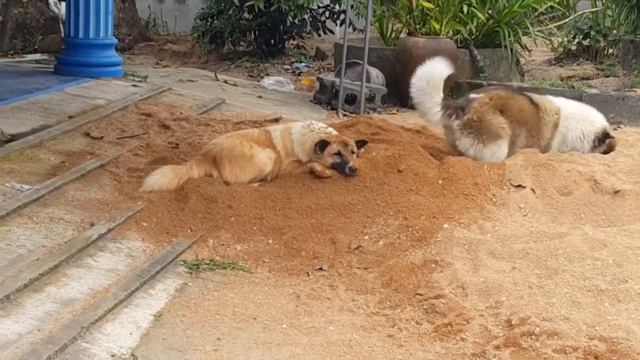 НЕ ОБРАЩАЙ НА МЕНЯ ВНИМАНИЕ. ДЕЛАЙ ЧТО ХОЧЕШЬ прикол