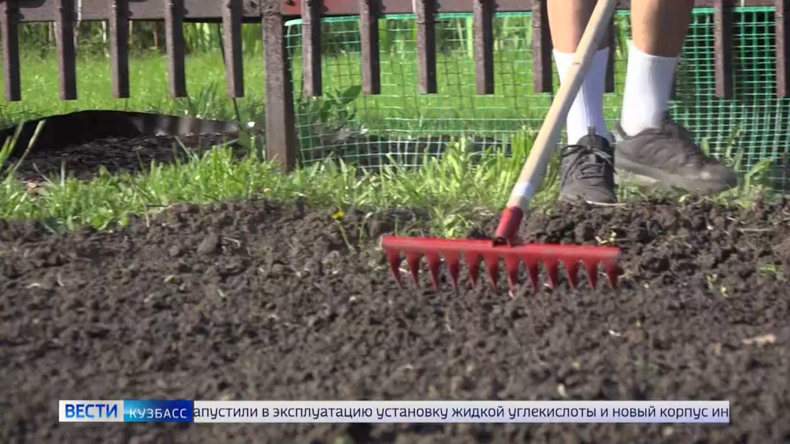 Дача – не только для картошки: кузбассовцы рассказали, чем предпочитают заниматься на участках