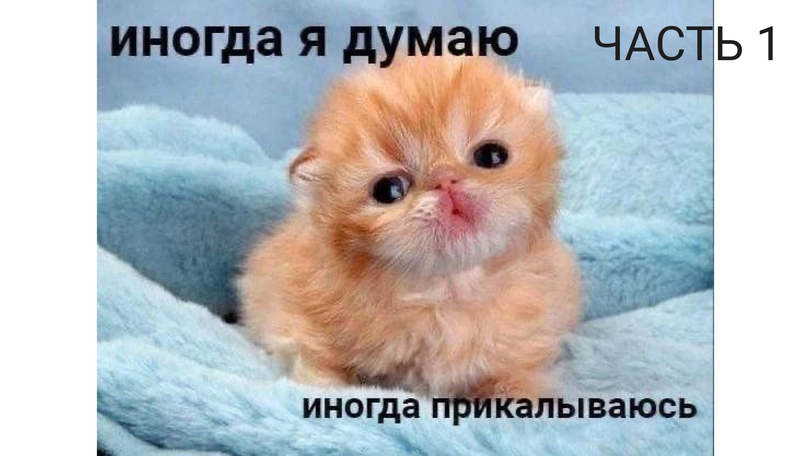 25.02.2025 Практическая работа №1 Часть 1