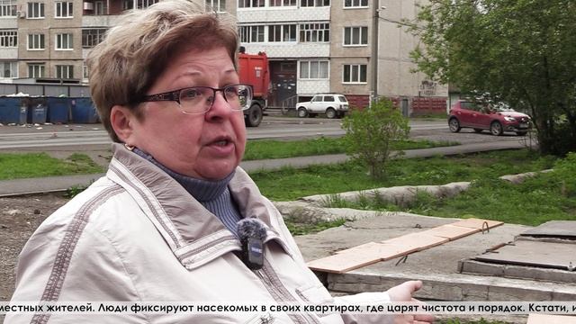 Тараканы терроризируют жителей домов, расположенных на улице Попова в поселке Энергетиков