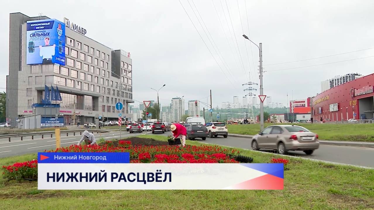 В этом году Нижний Новгород украсят 560 цветников
