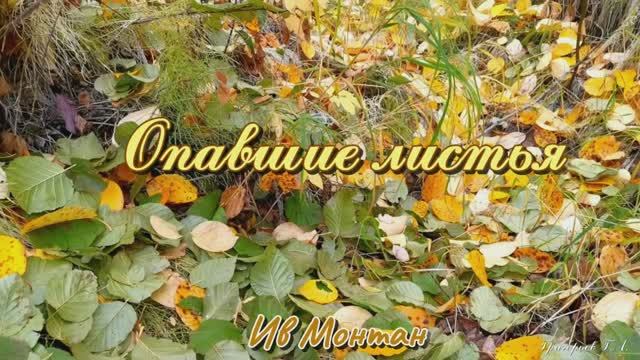Ив Монтан - Опавшие листья
Хиты с пластинок на все времена. Красивая осень