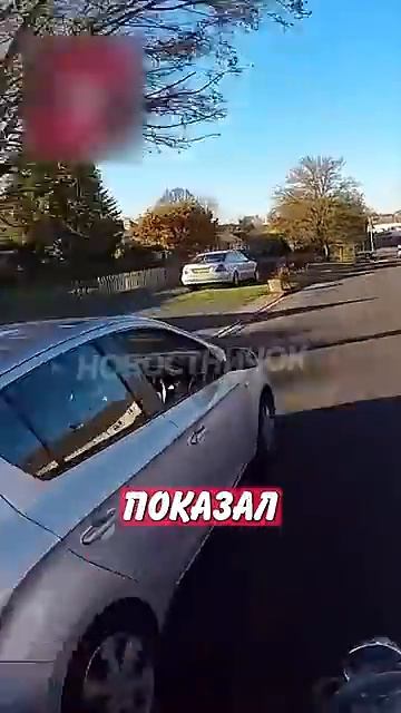 Новостничок (37)