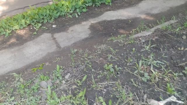 VID_20250522_165904.mp4 Иду в садик