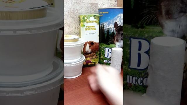 Мой инвентарь для хомяка