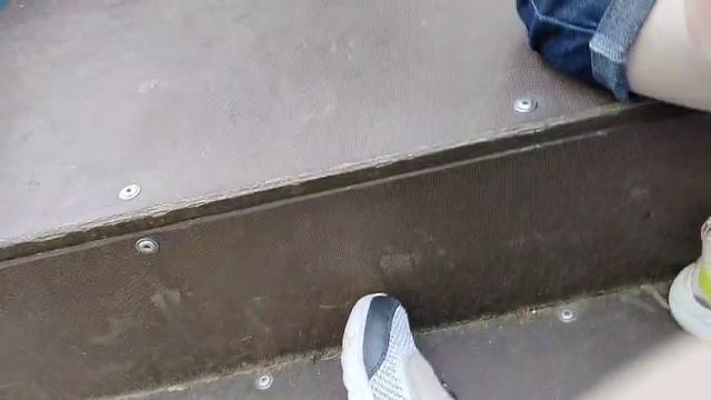 мы гуляем