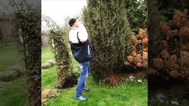 Dale Don Dale _ Дачный танец _ 1 минута