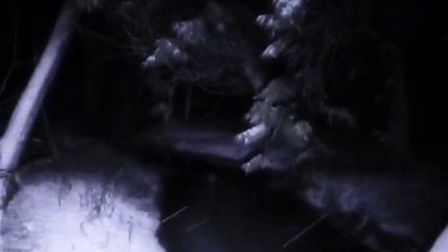 すべてがうまくいくでしょう。