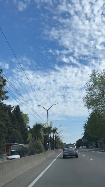 #Жако
#Чихуахуа
#Сочи
#Жизнь Сочи
#Животные Сочи
#Природа Сочи
#Кайф Сочи
#Василиса
Ставь 👍