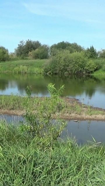И рыбу поймал и самородное Золото нашёл!!