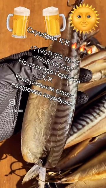 Скумбрия Х/К Сочи коптит