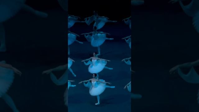 #большойтеатр #балет #баядерка #тени