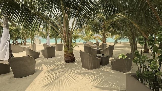 Riu Palace 5*
