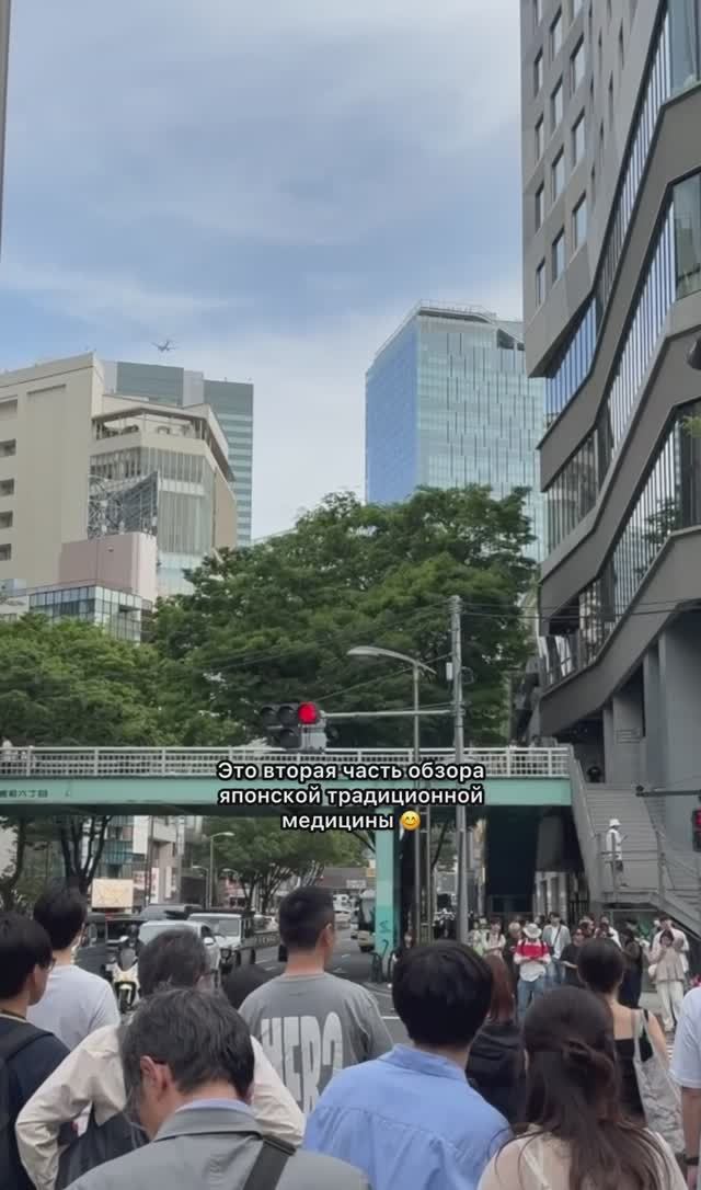 Традиционная японская медицина от стресса до мигрени 🇯🇵🧘♀️  #обзор #япония #бады