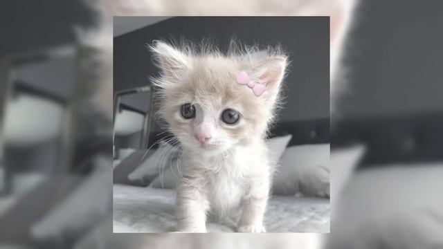 🎧плейлист крутых песен с зимним вайбом🎧 (speed up)