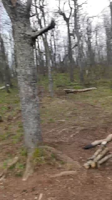 Красные скалы 2025