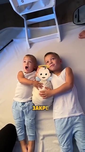 Павлов Family (276)