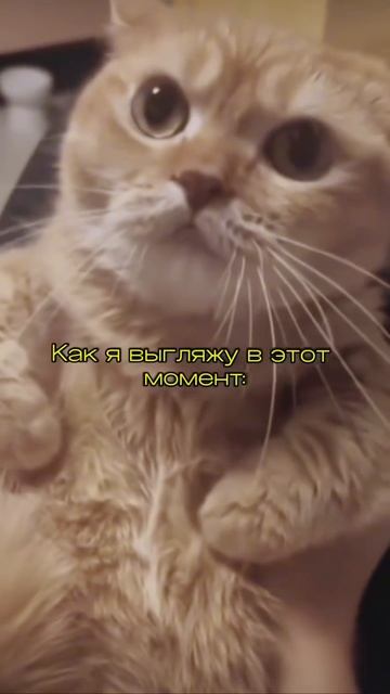 А ты газуешь на перекрестках ?😂