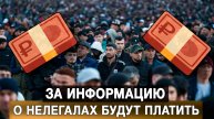 За информацию о нелегалах будут платить
