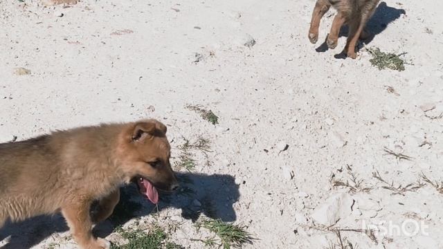 Как не удалась прогулка в скалы