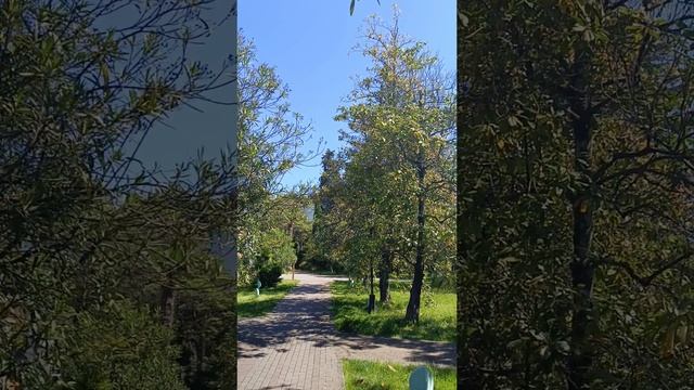 Прогулка по городу Сочи