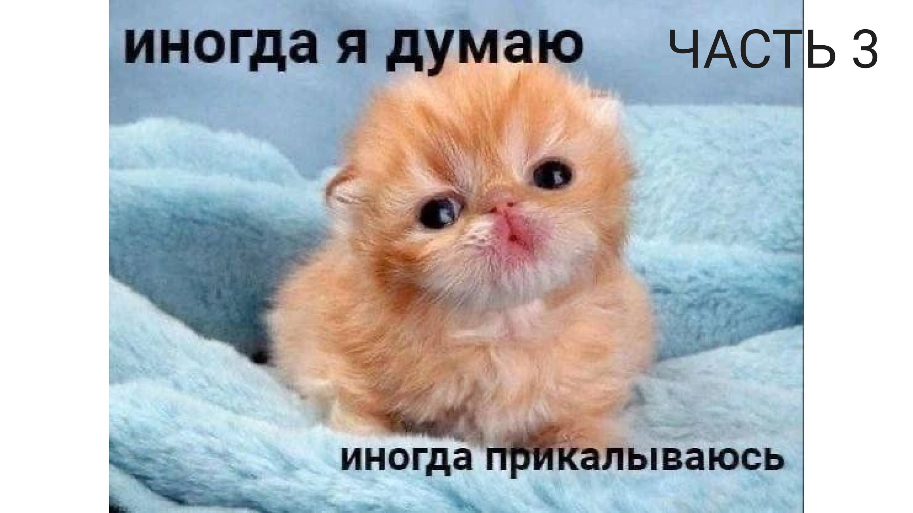 25.02.2025 Практическая работа №1 Часть 3