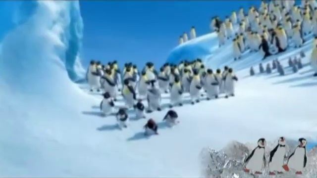 МАКАРЕНА!!!.mpg