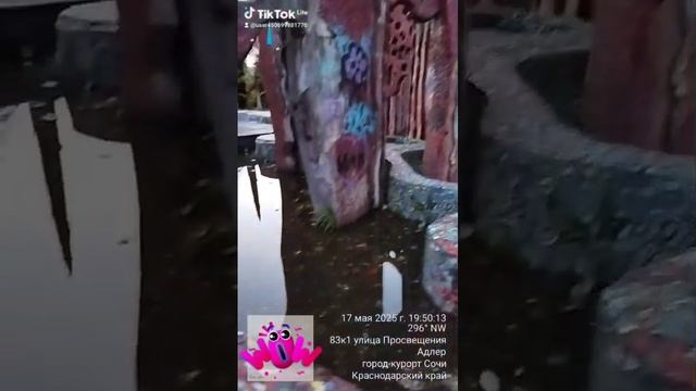 Мозаичный комплекс "КОРАЛЛ" в Адлере в ужасном состоянии 17.05.2025 #адлер  #курортныйгородок