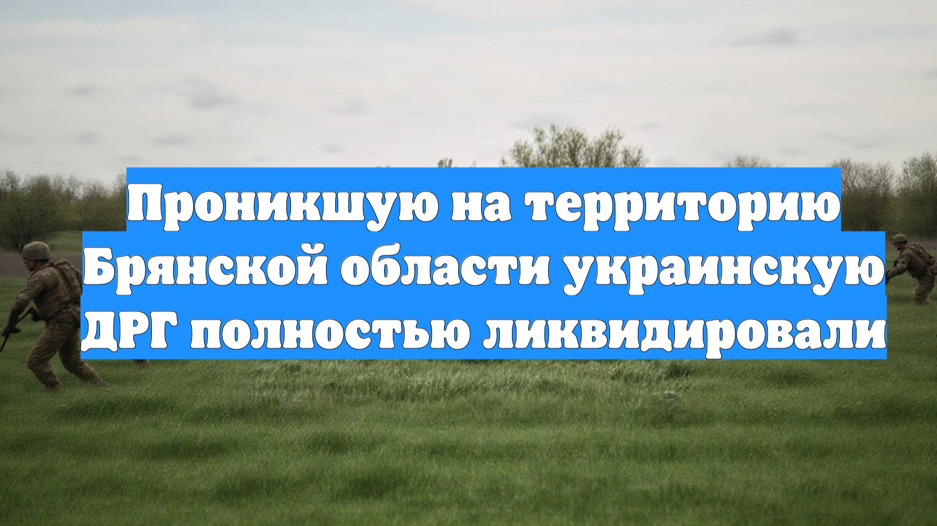 Проникшую на территорию Брянской области украинскую ДРГ полностью ликвидировали