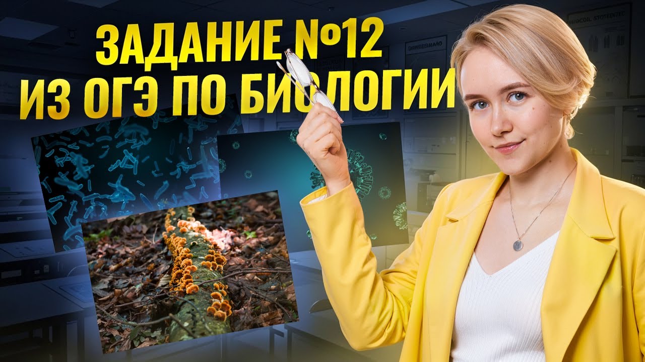 Задание 12 ОГЭ по биологии 2025: вирусы, бактерии, грибы | Умскул