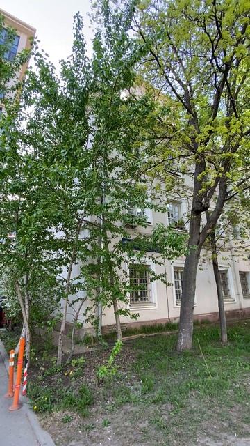 Краснобогатырская_7