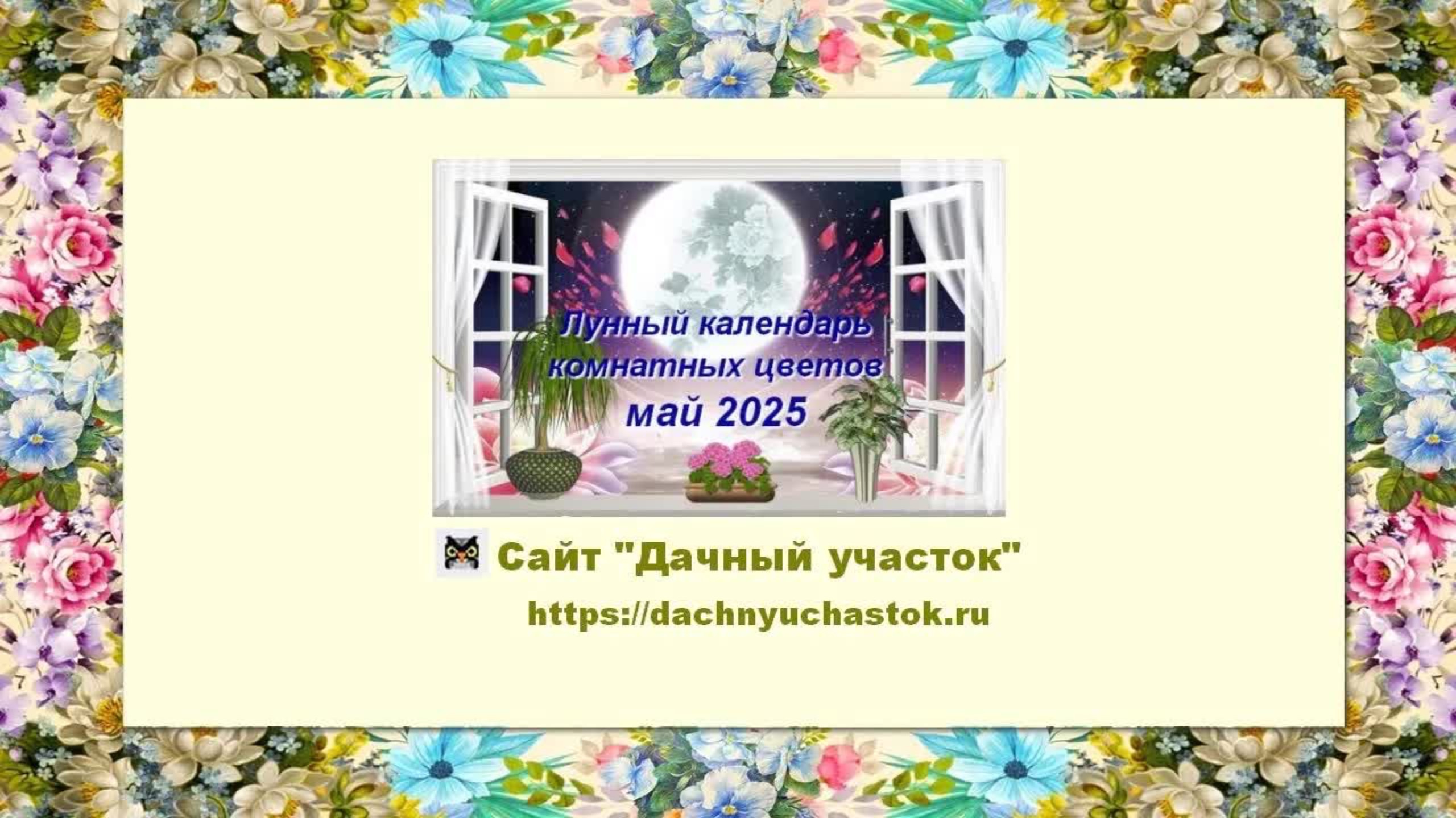 Лунный календарь комнатных растений и цветов на май 2025 года