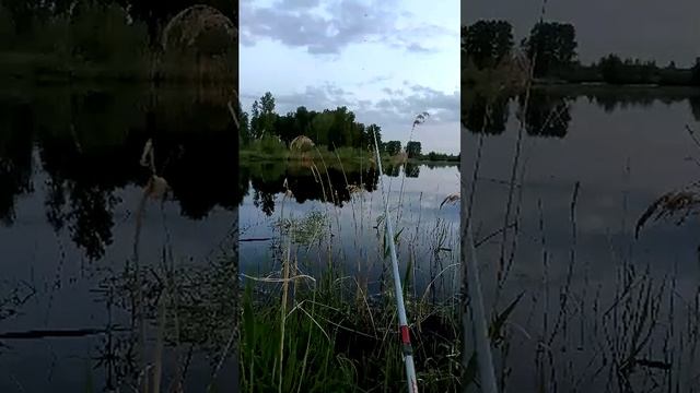 Рыбалка на озере