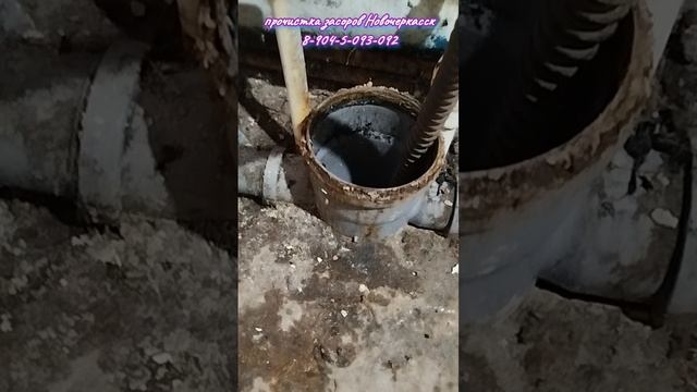 Жировые запасы как у бобра.