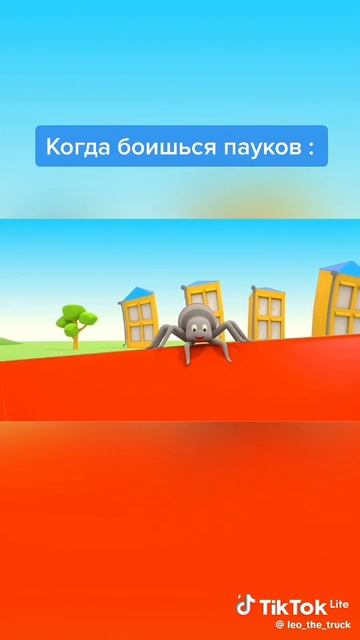 паучки