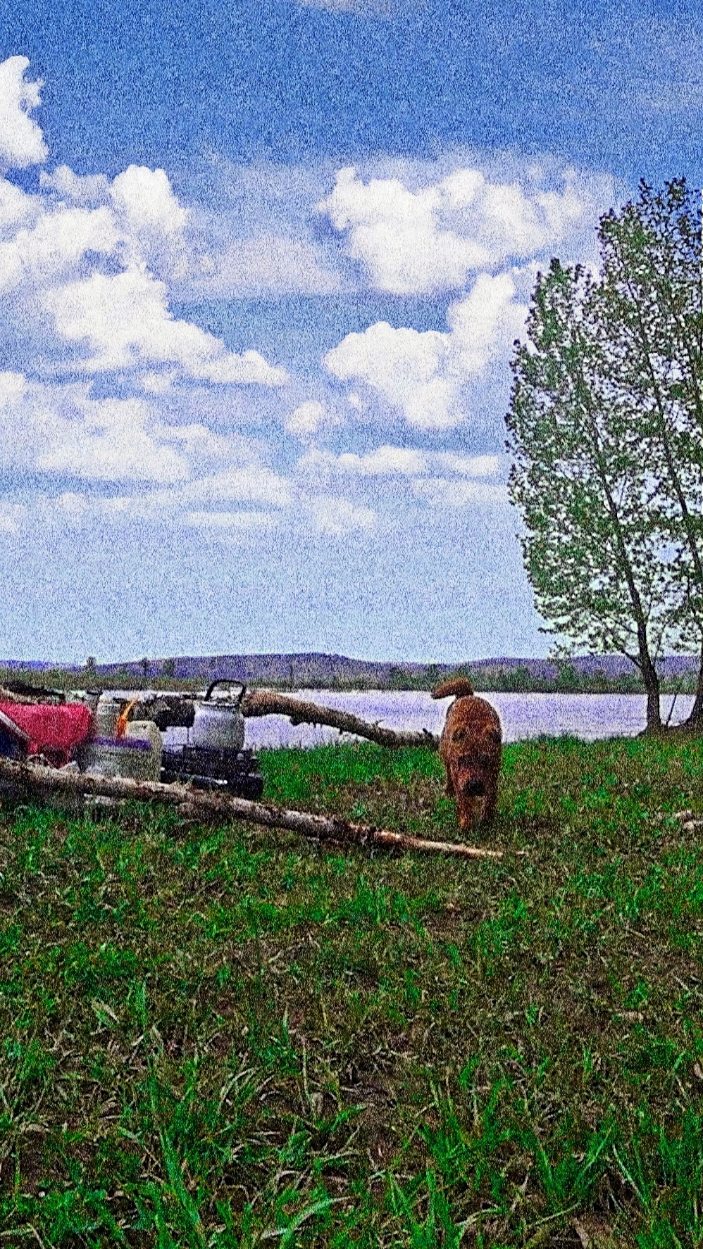 Рыбалка в мае
